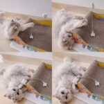 اسباب بازی گربه قابل اتصال به اسکرچر-2