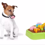 ظرف آرام خور سگ و گربه با سری های چرخشی (7)