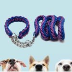 قلاده آموزشی سگ طرح بافت-1