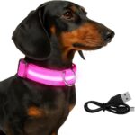 قلاده گردنی سگ چراغدار شارژی-3