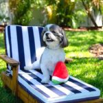 اسباب بازی مخملی صدا دار سگ مدل هندوانه1