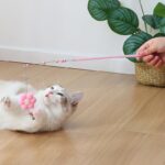 اسباب بازی چوب بازی گربه مدل گل زنگوله دار-1