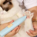 موزر پنجه گربه و سگ LED دار و شارژی مدل پنی