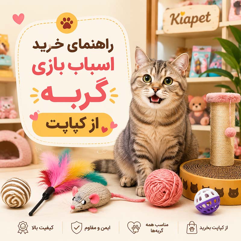 راهنمای خرید اسباب بازی گربه: ۶ نکته طلایی که قبل از خرید باید بدانید