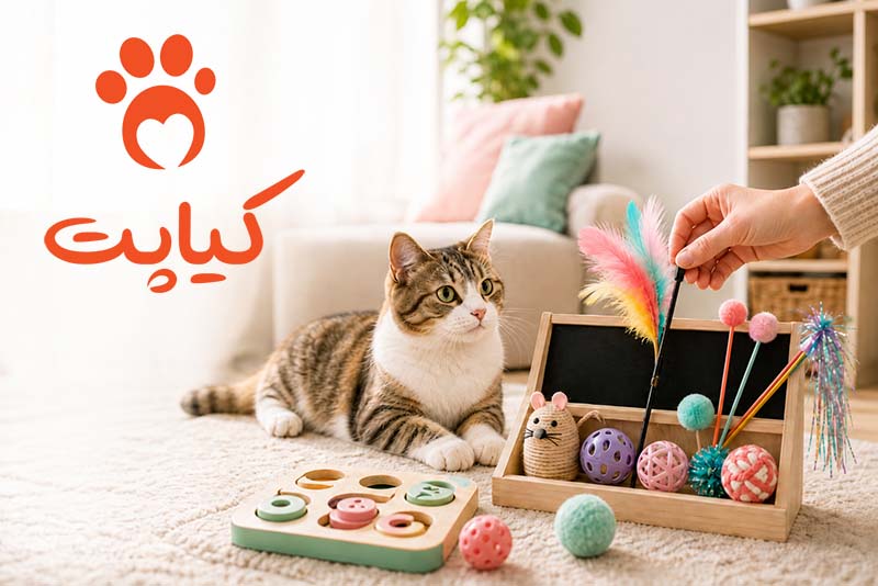 راهنمای خرید اسباب بازی گربه (بر اساس سن، نژاد و شخصیت)